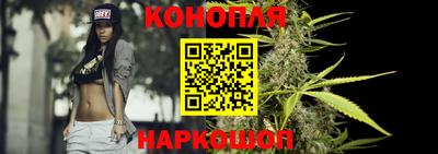 бошки Дубна