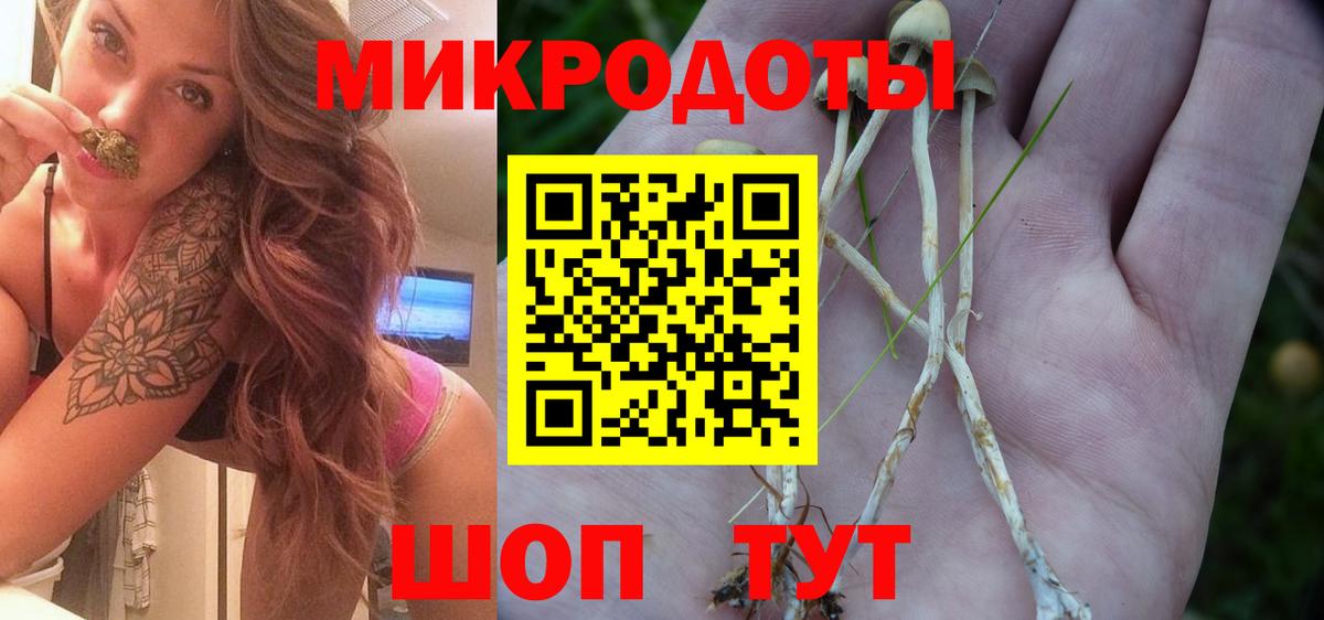 где купить наркоту  Галлюциногенные грибы MAGIC MUSHROOMS  Вход с VPN  Майский  Псилоцибиновые грибы мухоморы 